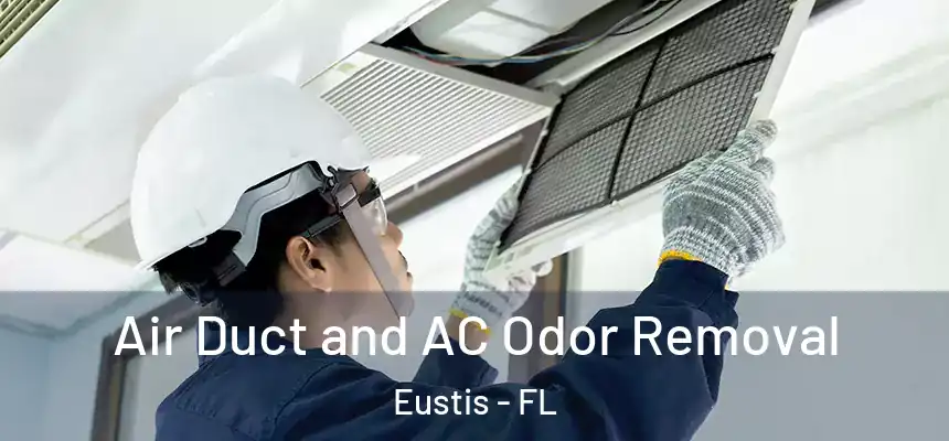 Air Duct and AC Odor Removal Eustis - FL
