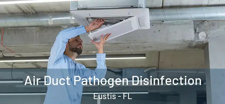 Air Duct Pathogen Disinfection Eustis - FL