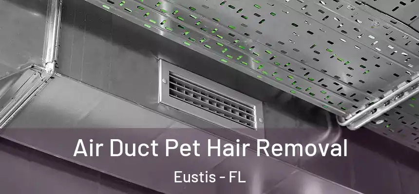 Air Duct Pet Hair Removal Eustis - FL