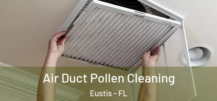 Air Duct Pollen Cleaning Eustis - FL