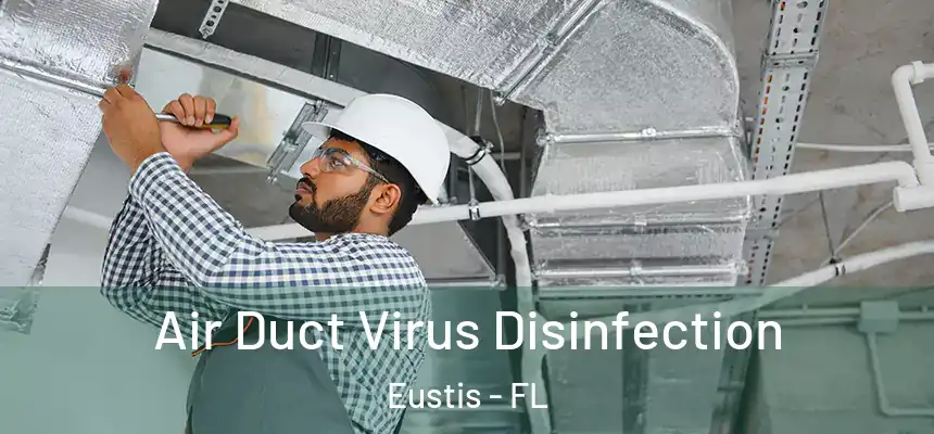 Air Duct Virus Disinfection Eustis - FL