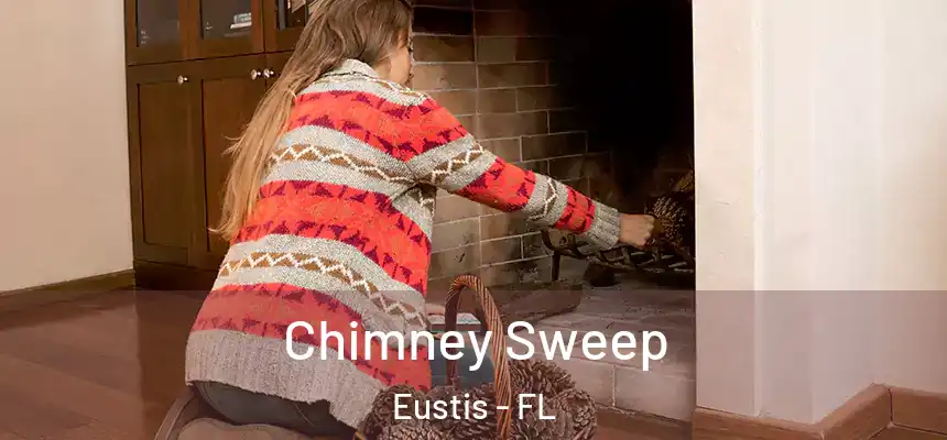 Chimney Sweep Eustis - FL