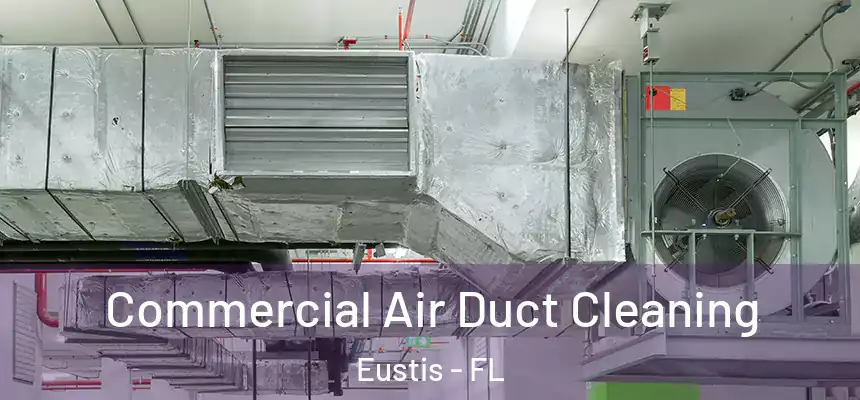 Commercial Air Duct Cleaning Eustis - FL