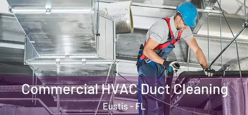 Commercial HVAC Duct Cleaning Eustis - FL