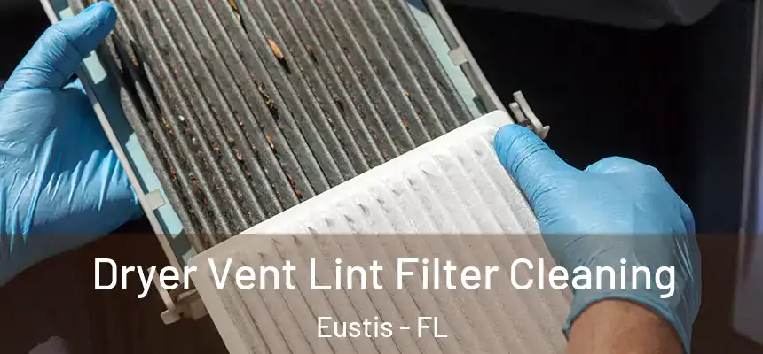 Dryer Vent Lint Filter Cleaning Eustis - FL
