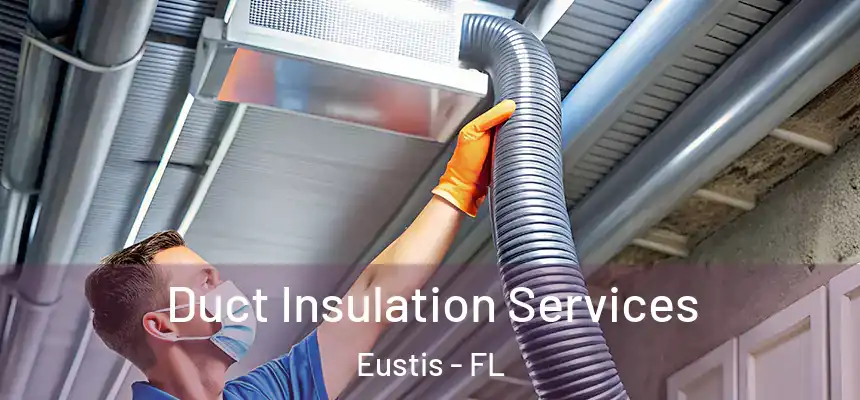 Duct Insulation Services Eustis - FL