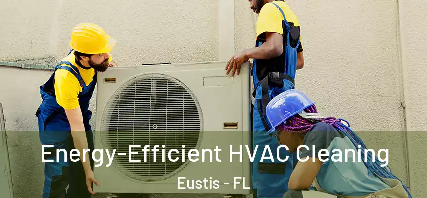 Energy-Efficient HVAC Cleaning Eustis - FL