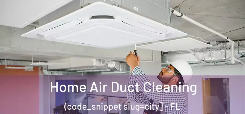  Home Air Duct Cleaning (code_snippet slug=city] - FL