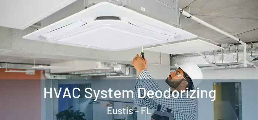 HVAC System Deodorizing Eustis - FL