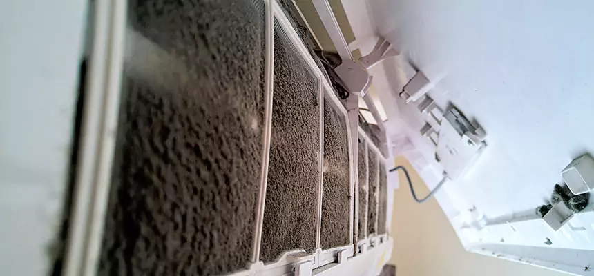 Preventive Air Duct Bacteria Removal in Eustis