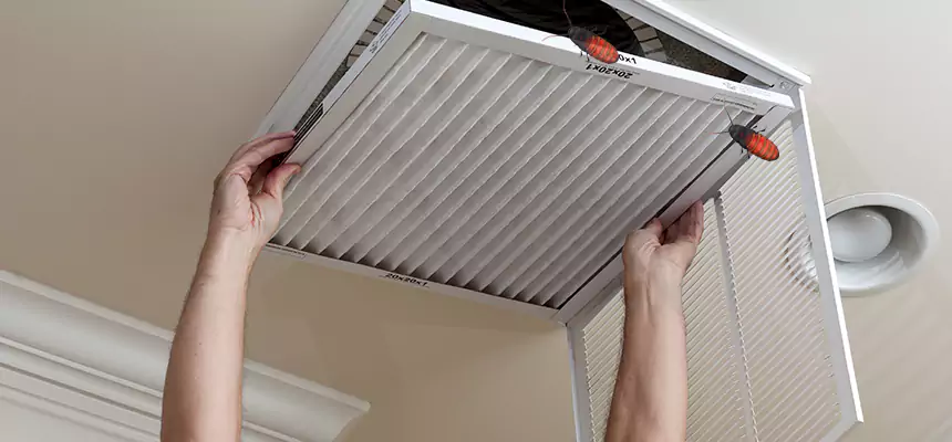 Preventive Cockroach-Proofing for Ducts in Eustis