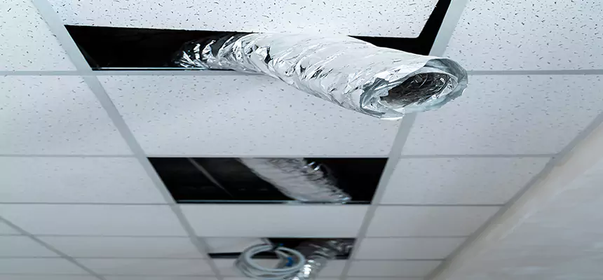 Affordable HVAC Sanitizing After Pest Removal in Eustis