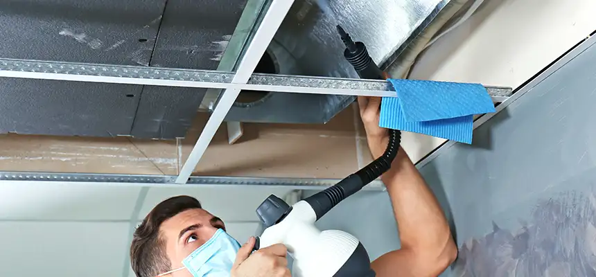 Our Air Duct Rodent Removal Services in Eustis, FL