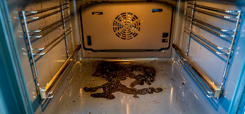 Our Dryer Vent Mold Cleaning Services in Eustis, FL