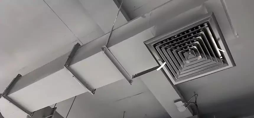 Our Pest Removal From Ducts Services in Eustis, FL