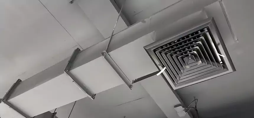 Our Rodent Droppings In Vents Services in Eustis, FL