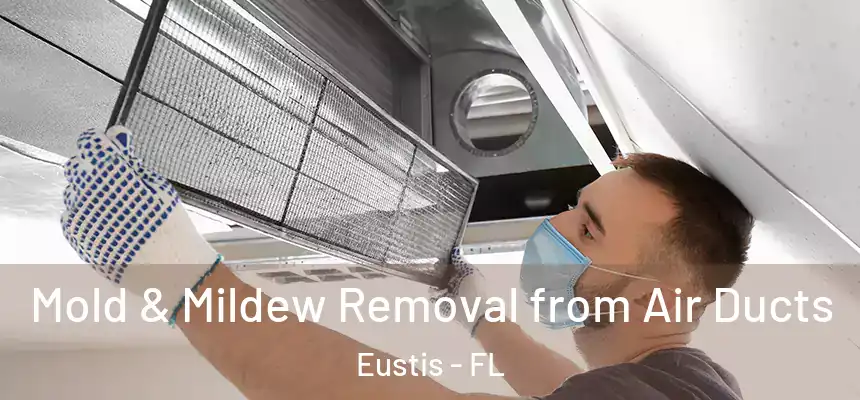 Mold & Mildew Removal from Air Ducts Eustis - FL