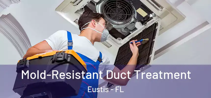 Mold-Resistant Duct Treatment Eustis - FL