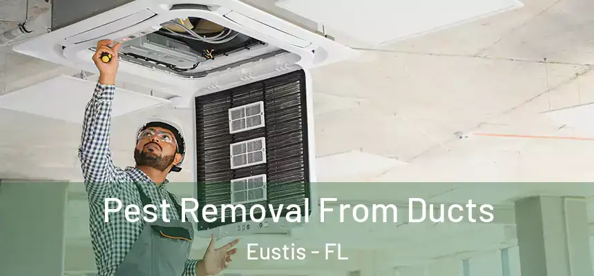 Pest Removal From Ducts Eustis - FL