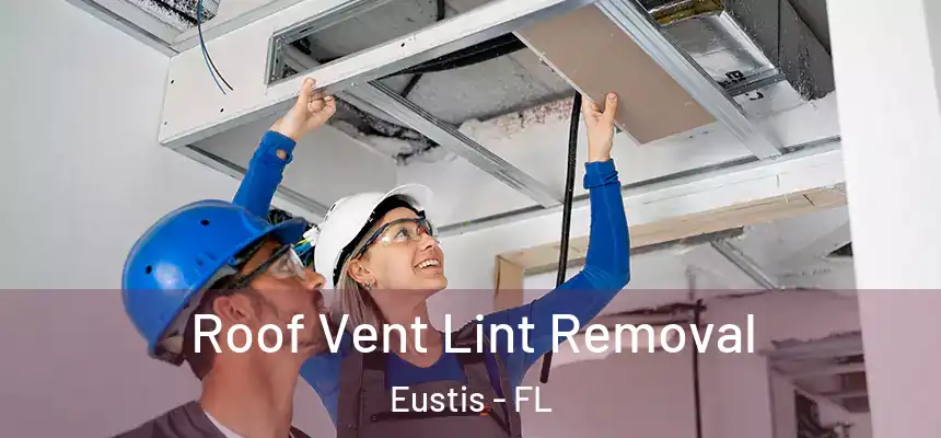 Roof Vent Lint Removal Eustis - FL