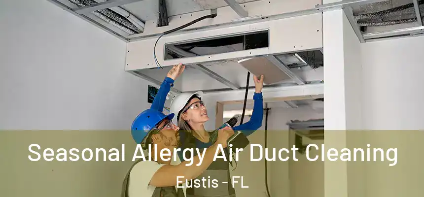 Seasonal Allergy Air Duct Cleaning Eustis - FL