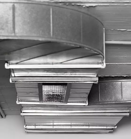 Professional Air Duct Pet Hair Removal in Eustis, FL