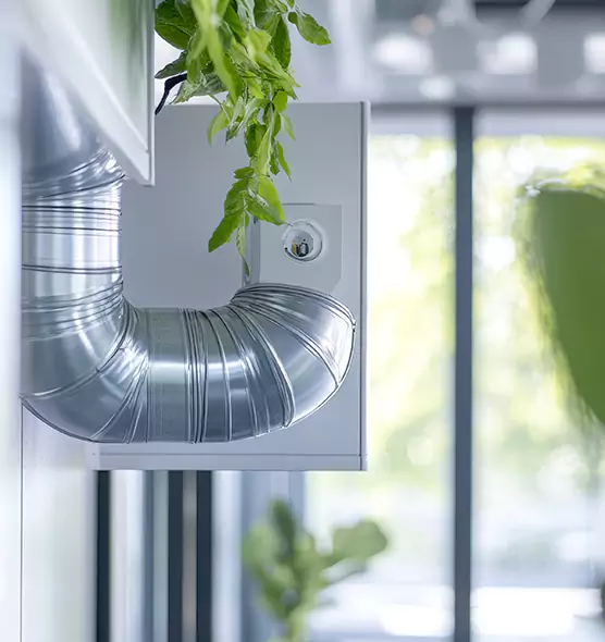 Professional Eco-Friendly Duct Cleaning Services in Eustis, FL