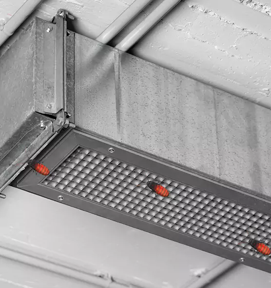 Affordable Insect Removal from Air Ducts in Eustis, FL