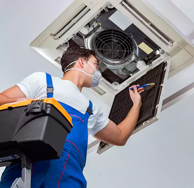 Why Homeowners & Businesses Trust Us in Eustis, FL