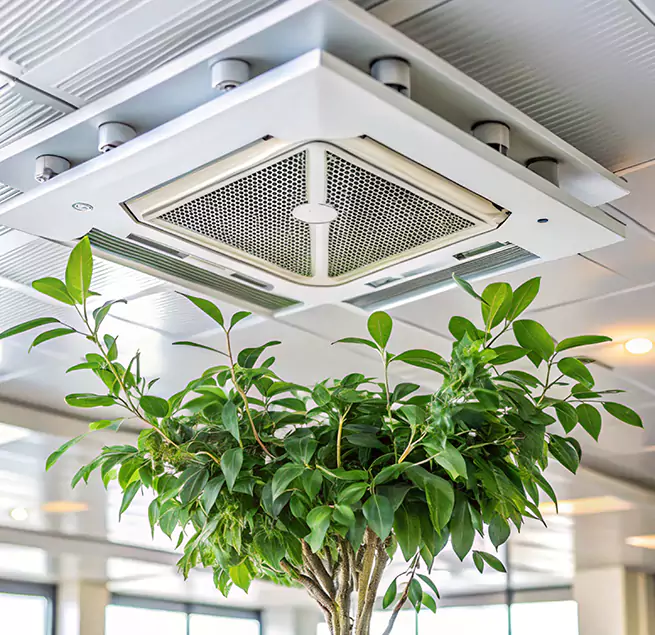 Why Homeowners & Businesses Trust Us in Eustis, FL?