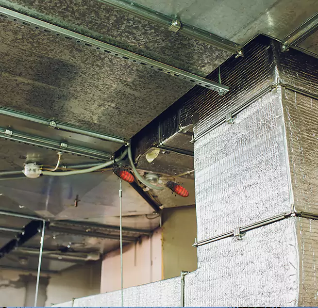 Why Homeowners & Businesses Trust Us Eustis, FL?