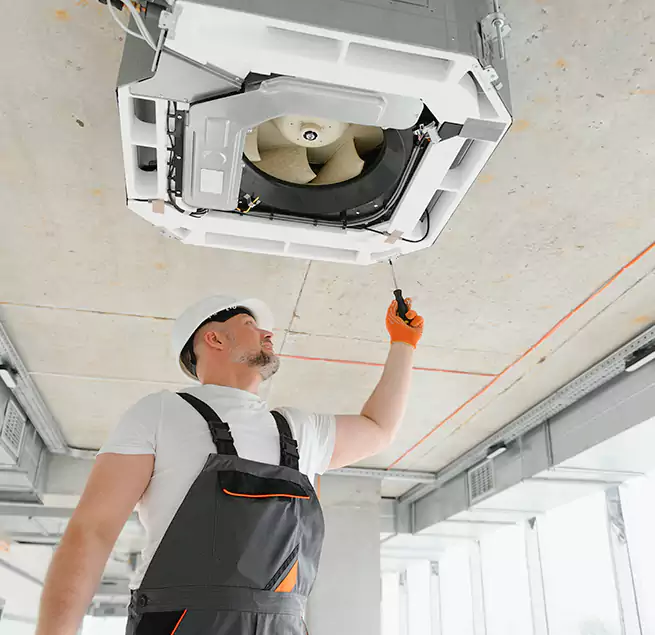 Why Homeowners Businesses Trust Us in Eustis, FL