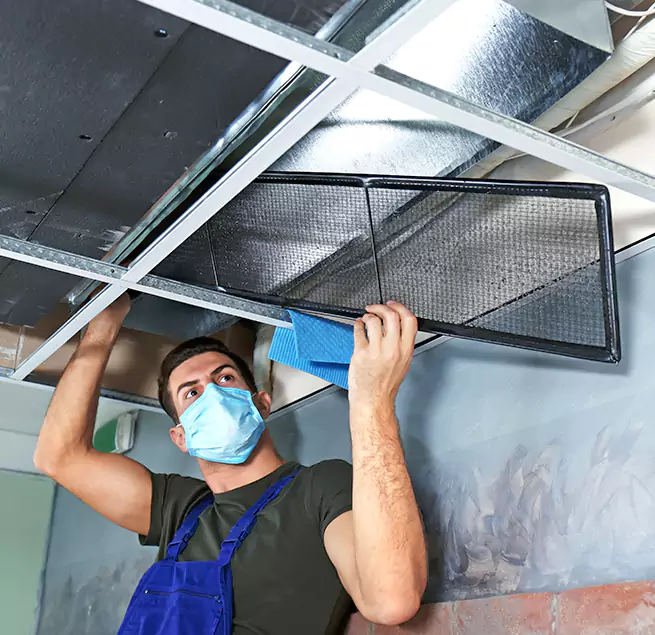 Why Homeowners & Businesses Trust Us in Eustis, FL?