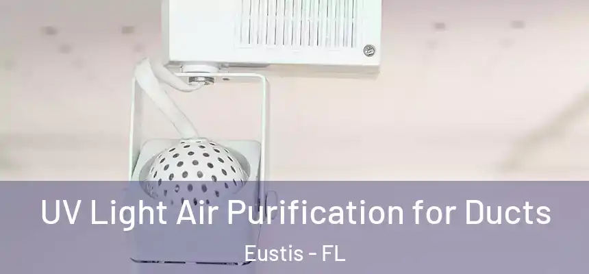 UV Light Air Purification for Ducts Eustis - FL